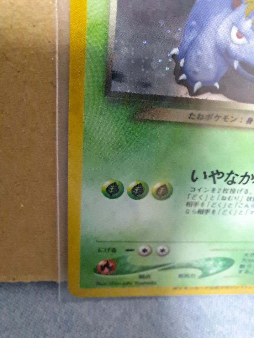 わるいフシギソウ＆わるいフシギバナ