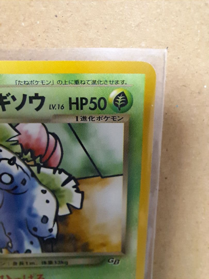 わるいフシギソウ＆わるいフシギバナ