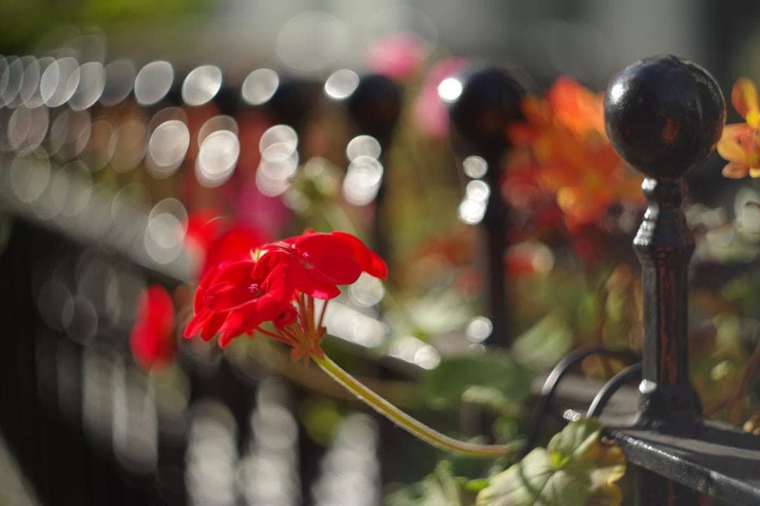 18　未使用　デッドストック希少後期型　ヘリオス　44-2ぐるぐるボケレンズ