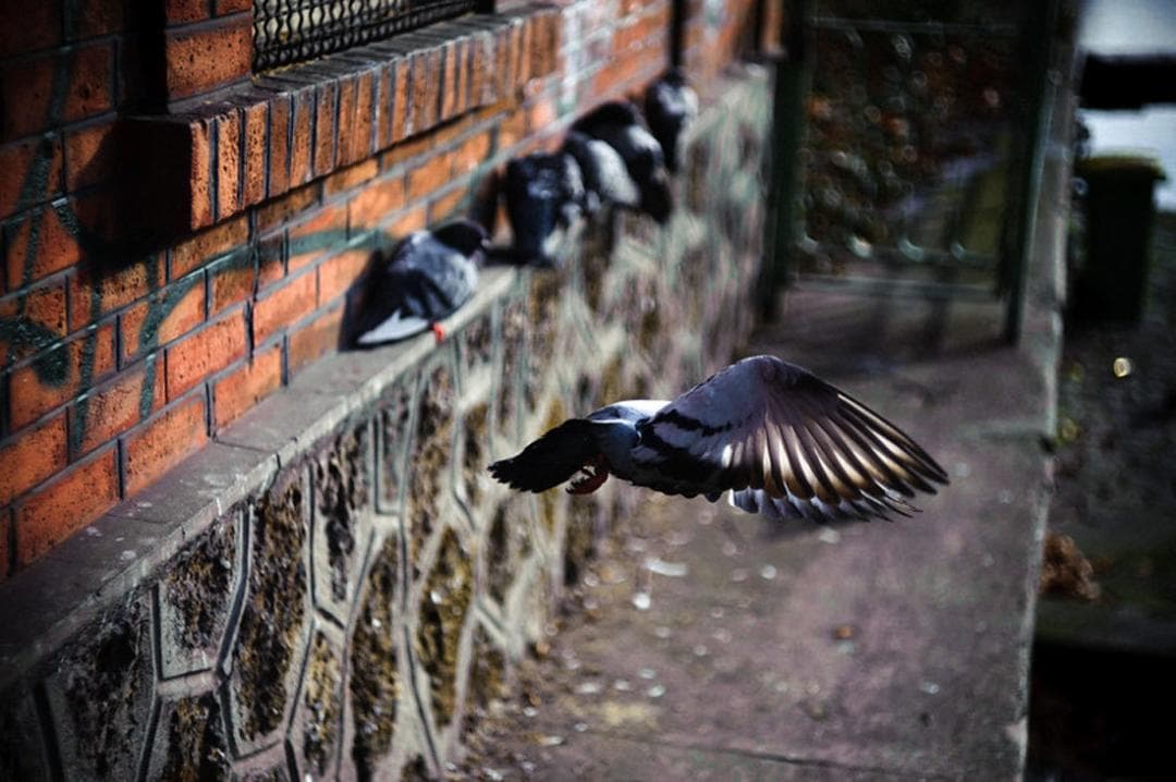 18　未使用　デッドストック希少後期型　ヘリオス　44-2ぐるぐるボケレンズ