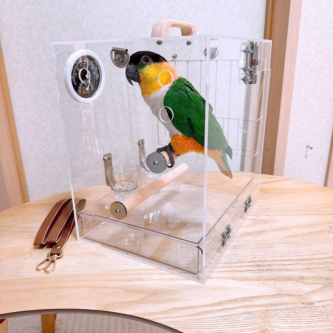 【専用ページ】そるたん様　アクリルケージ　キャリーケース