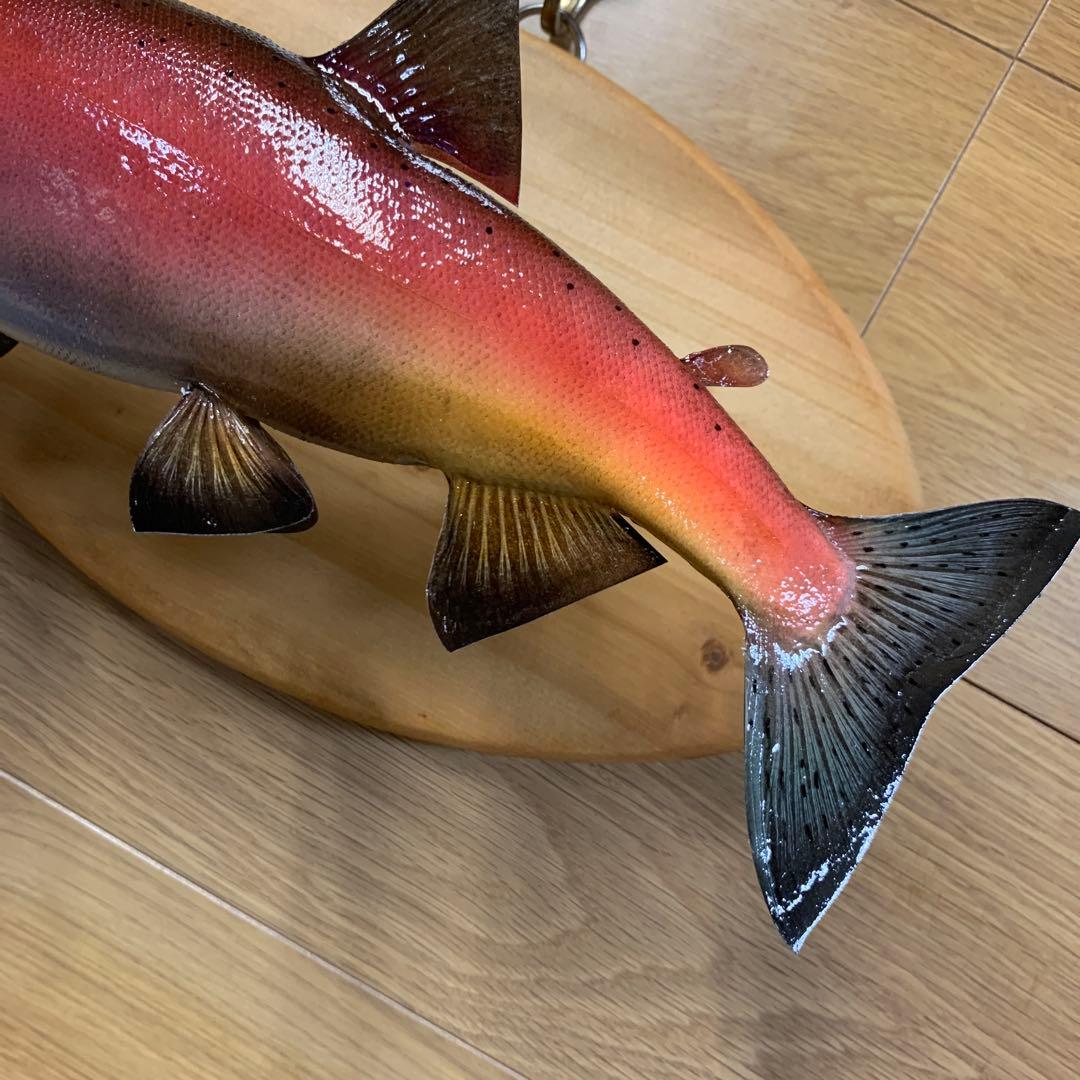 S*リ様 剥製　魚類剥製工房エフクラフト　晩秋の雄ヒメマス 33センチ 最終形態