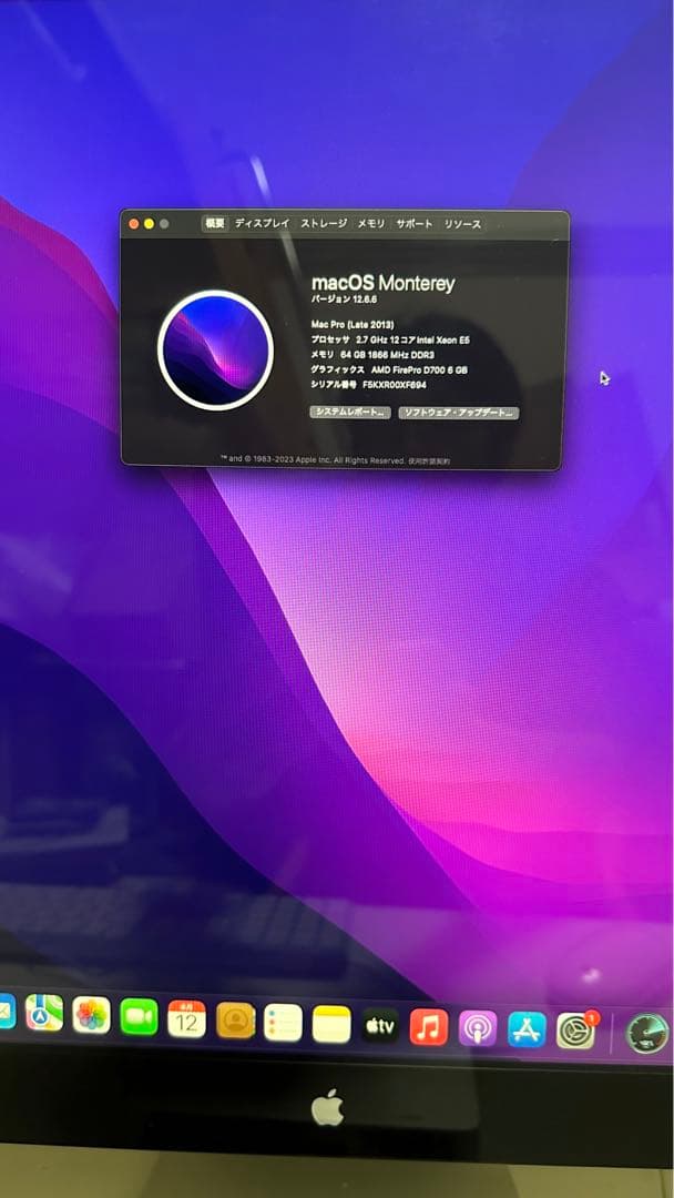 Macデスクトップ MacPro2013/12core2.7/D7006GX2/AppleDispl