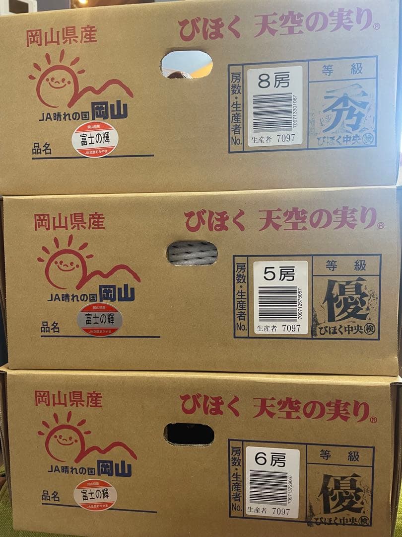 ⑦【岡山県産】富士の輝　約5キロ