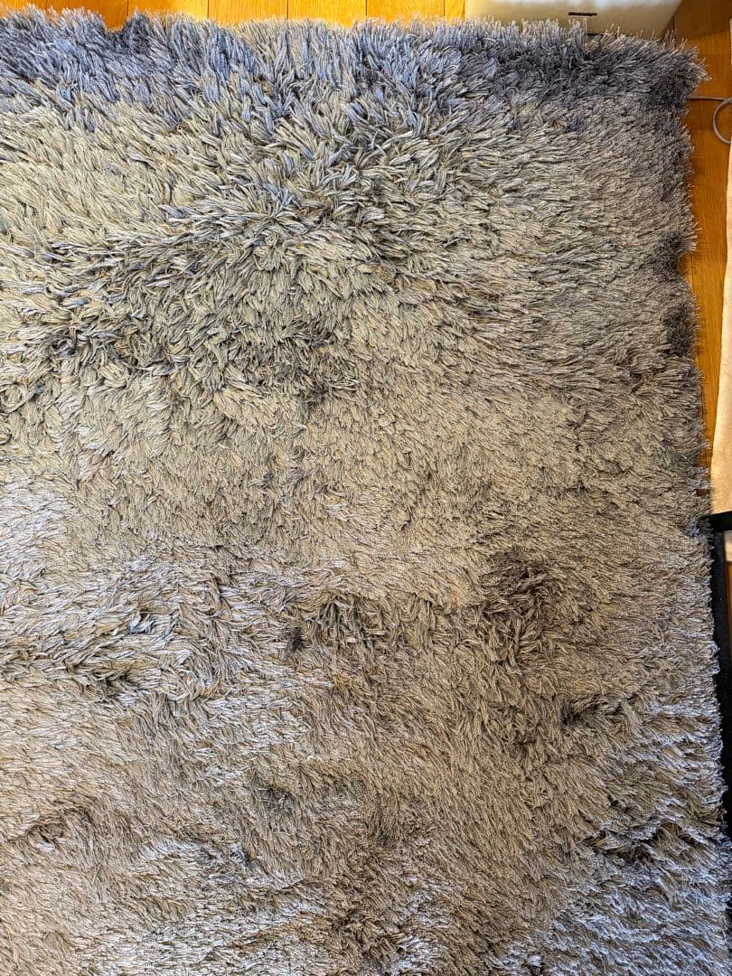 ACTUS アクタス ラグ 1700 × 2400