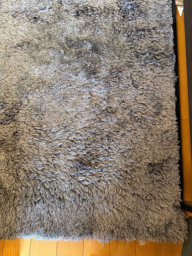 ACTUS アクタス ラグ 1700 × 2400