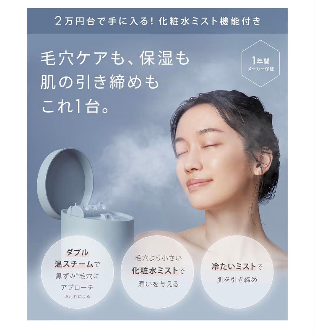 新品未使用⭐︎SALONIA ピュア ブライト スチーマー　グレー