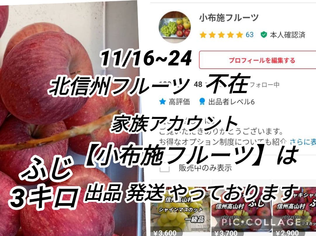 【ご案内】信州高山村のふじ　3キロ