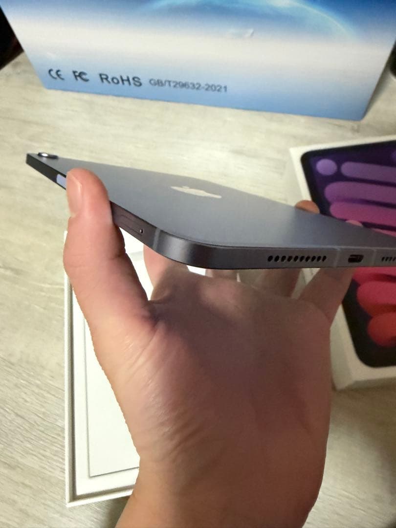 iPad miniセルラーモデル64GB 第6世代