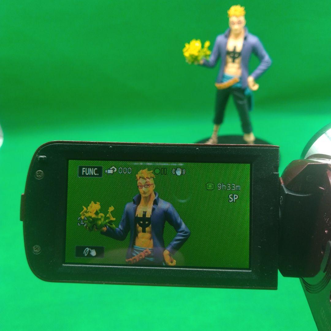 【動作確認OK】Canon キヤノン ivis HF R21 ビデオカメラ