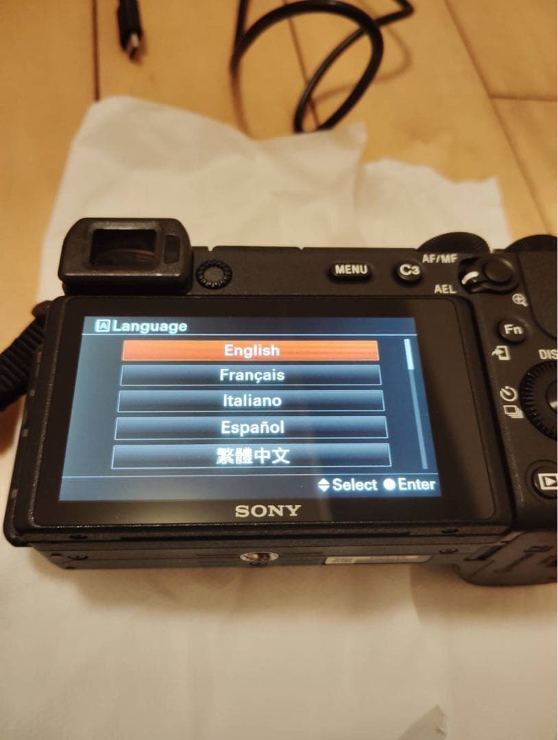 SONY α6600 カメラ本体と箱、バッテリー、充電器、SDカード1枚