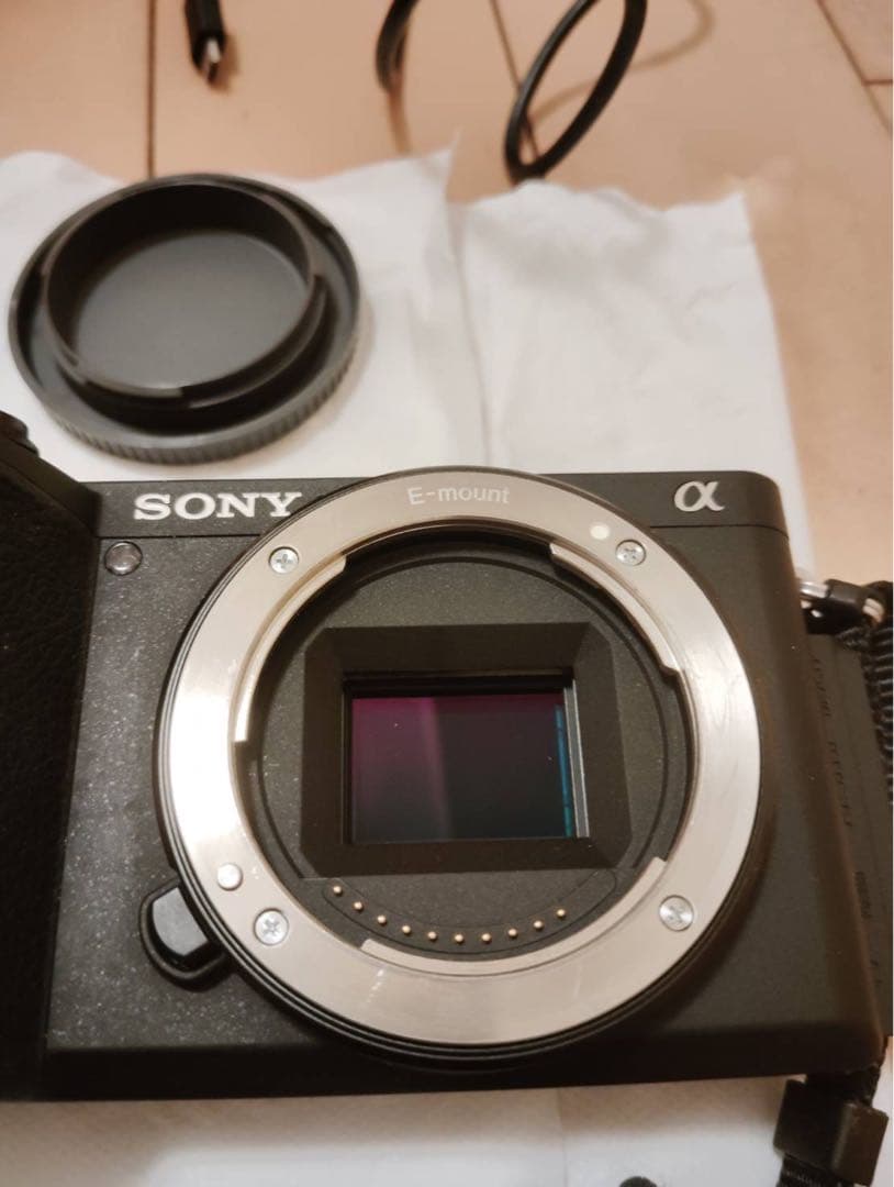 SONY α6600 カメラ本体と箱、バッテリー、充電器、SDカード1枚