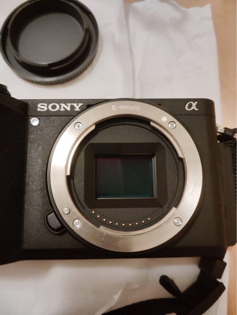 SONY α6600 カメラ本体と箱、バッテリー、充電器、SDカード1枚