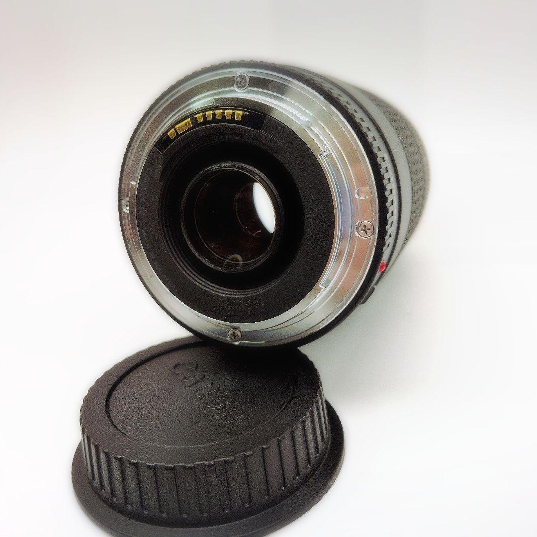 Canon EF 75-300mm F4-5.6 III USM 望遠ズーム