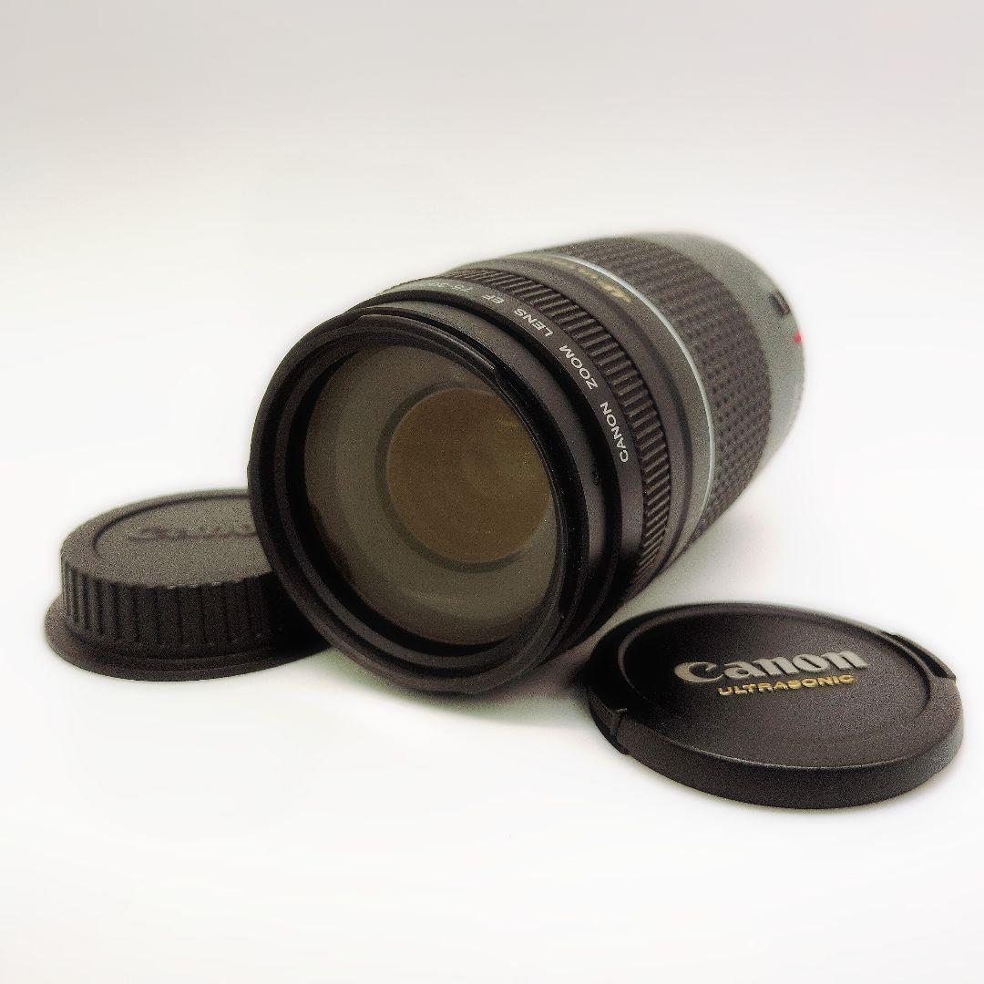 Canon EF 75-300mm F4-5.6 III USM 望遠ズーム