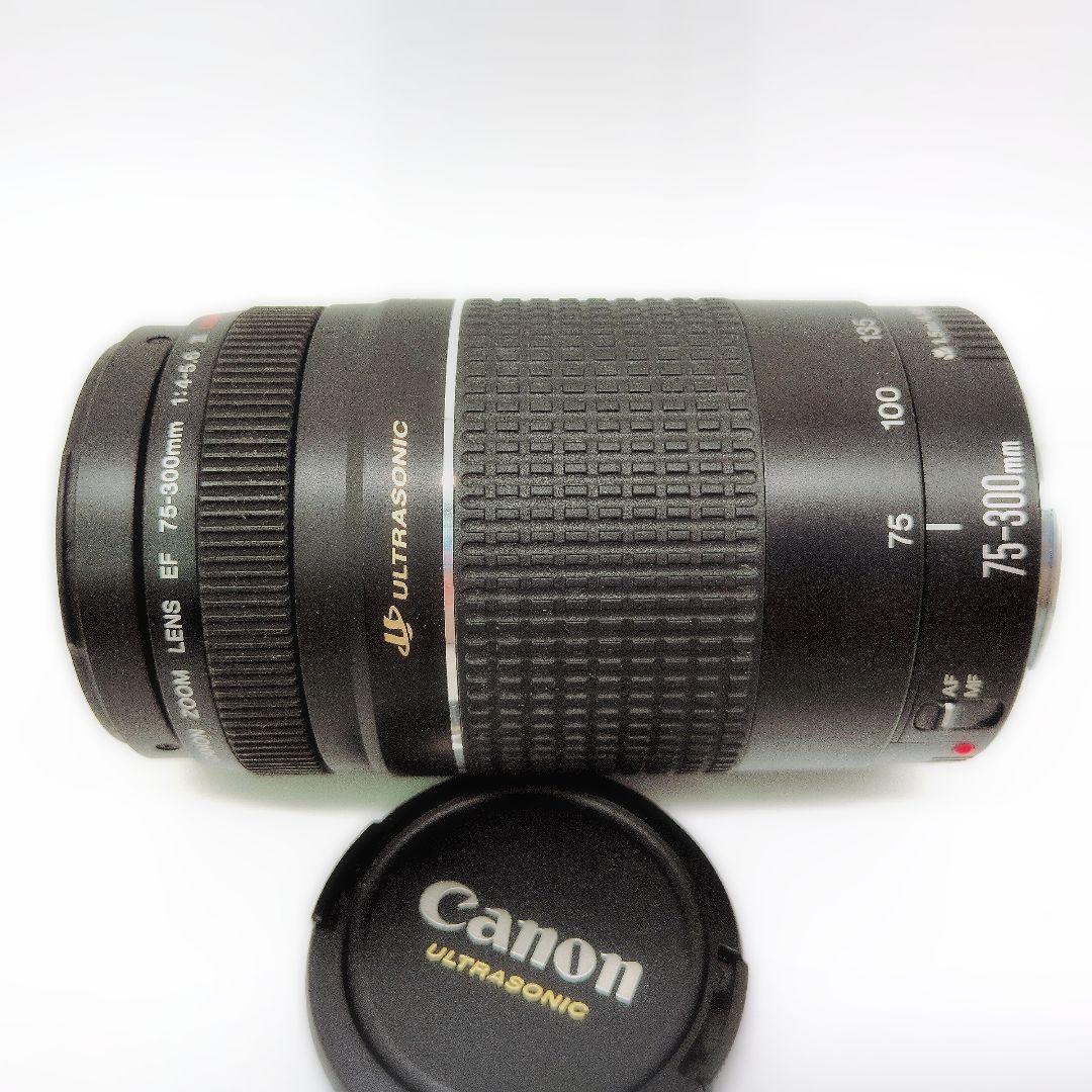 Canon EF 75-300mm F4-5.6 III USM 望遠ズーム