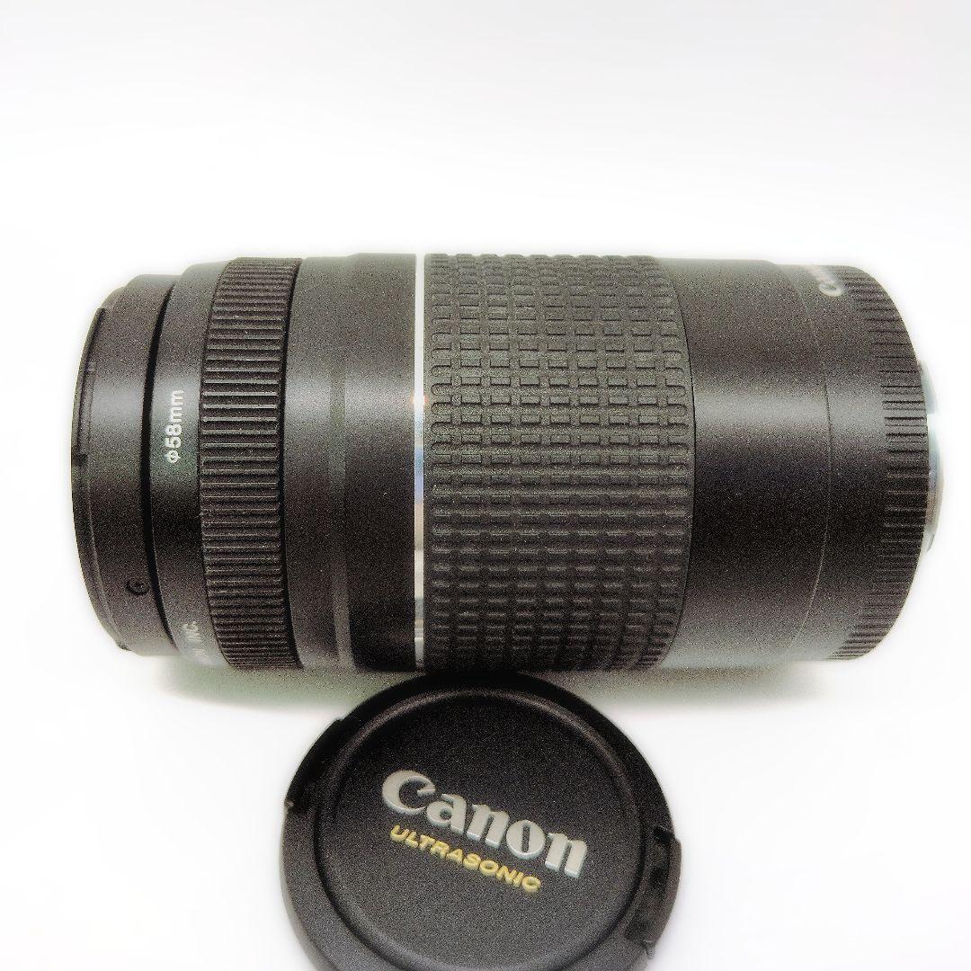 Canon EF 75-300mm F4-5.6 III USM 望遠ズーム