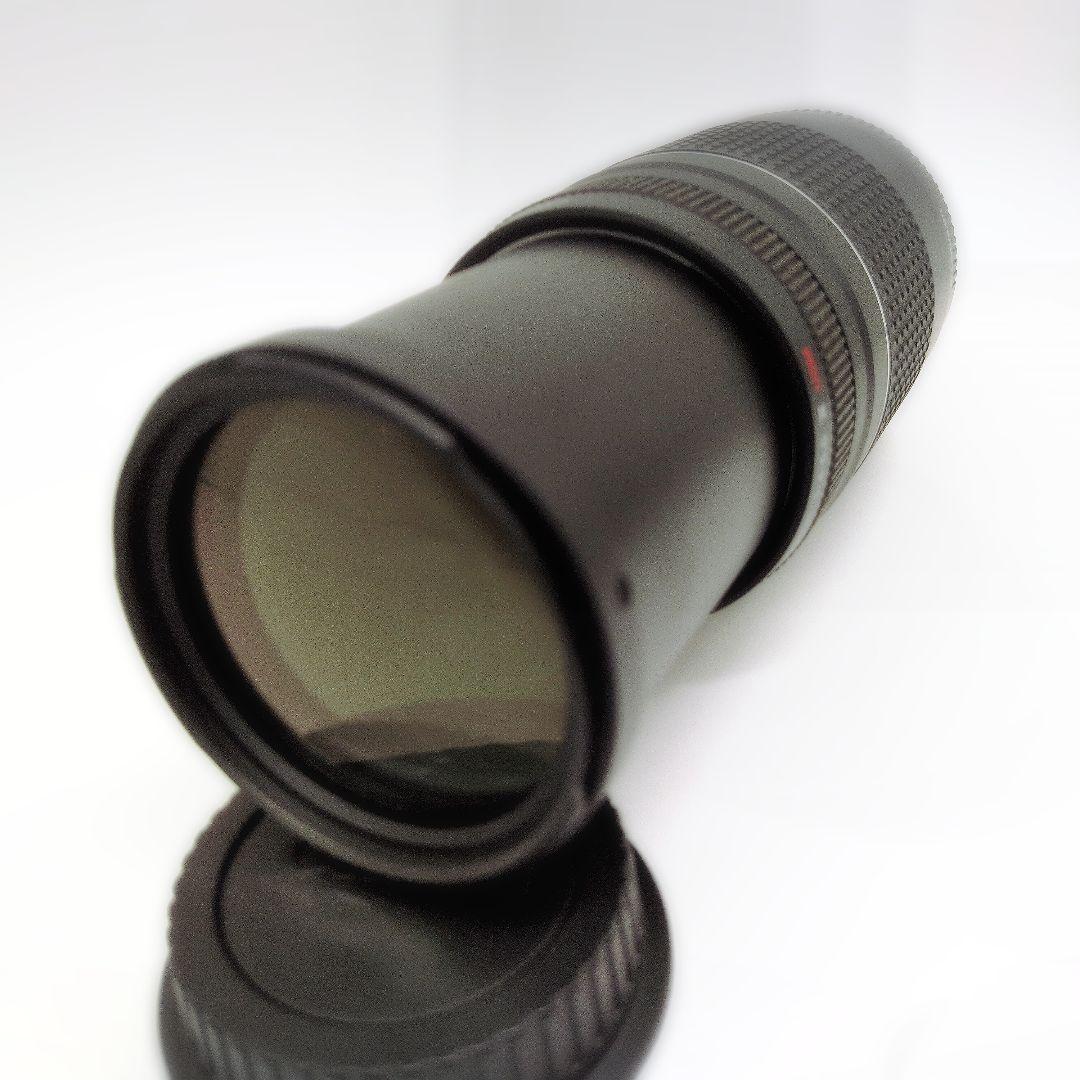 Canon EF 75-300mm F4-5.6 III USM 望遠ズーム
