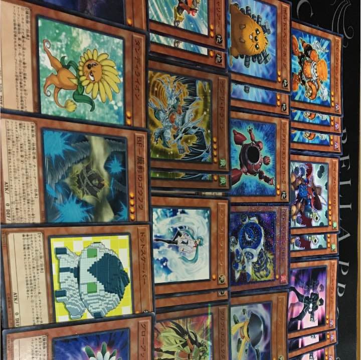 ジャンド デッキ