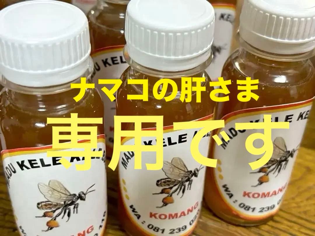針なしミツバチの蜂蜜135g~145g 6本、クサンバの塩、ココナッツシュガー