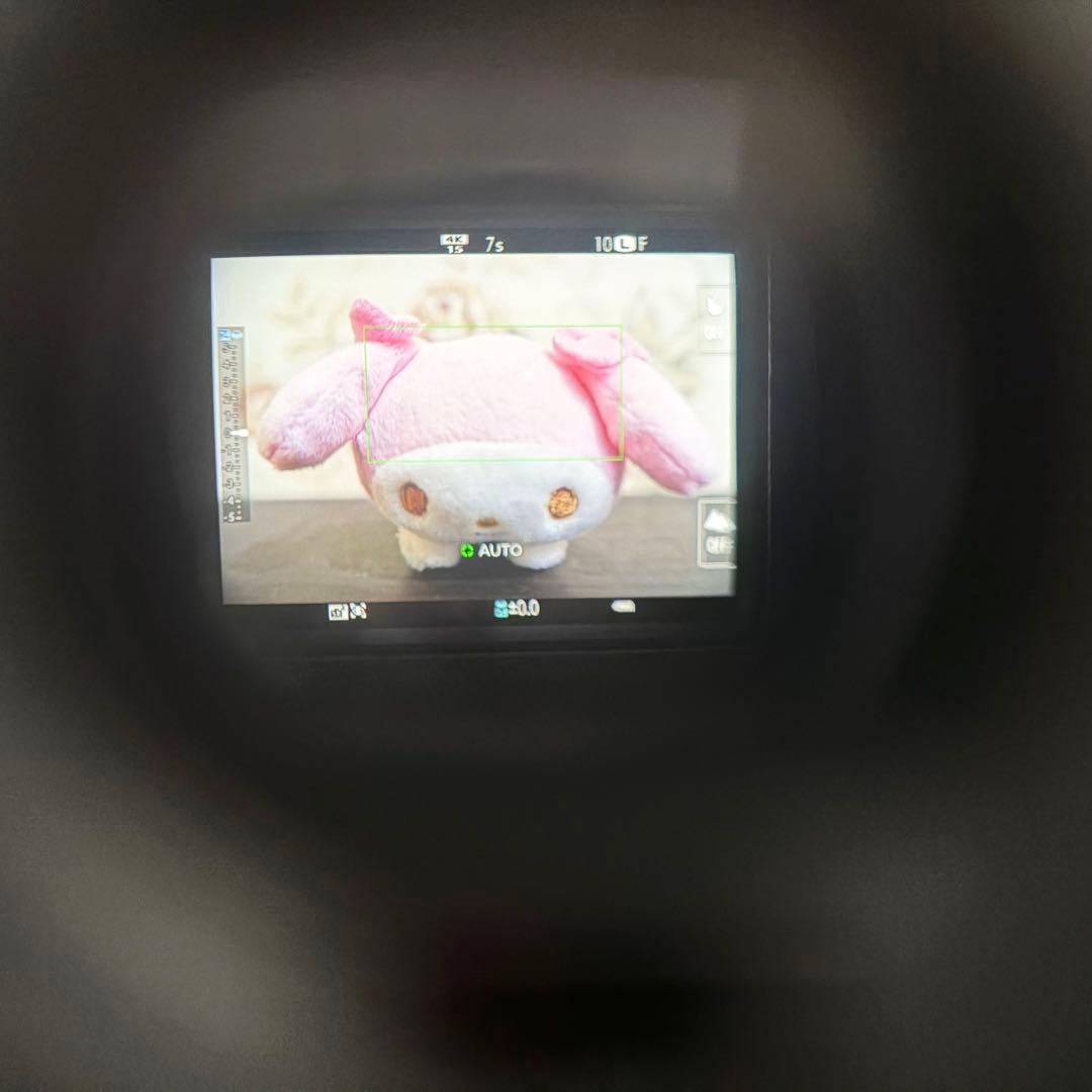 FUJIFILM X-T100 レンズキット XC15-45mm