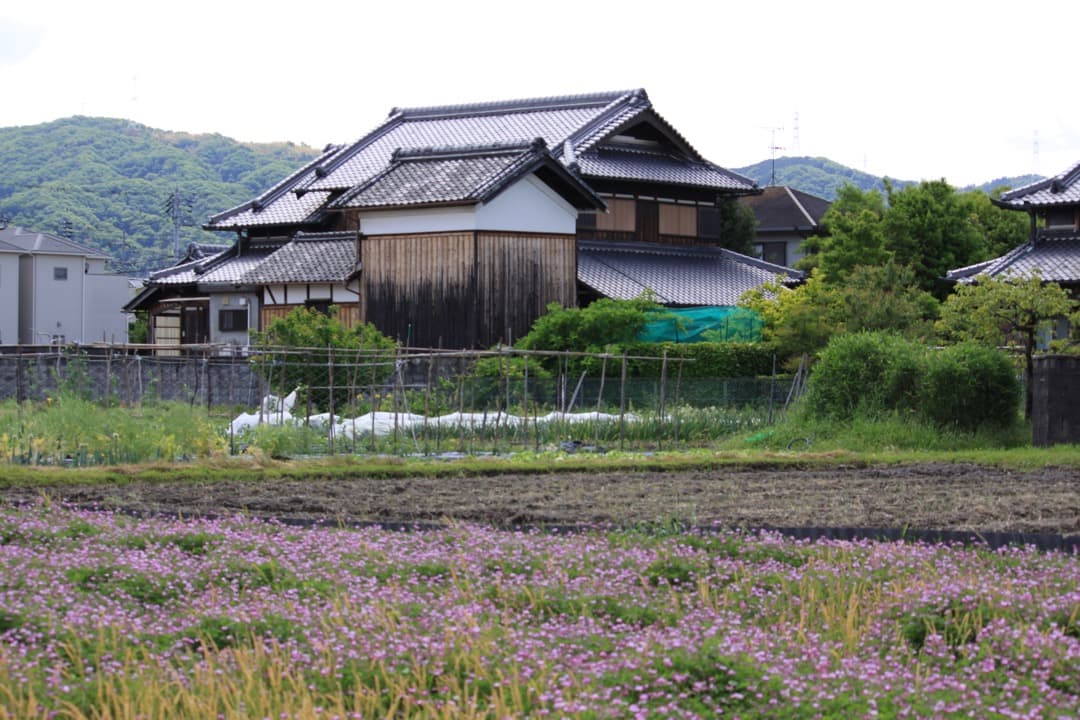 Canon EF-S 55-250mm F4-5.6 IS Ⅱ