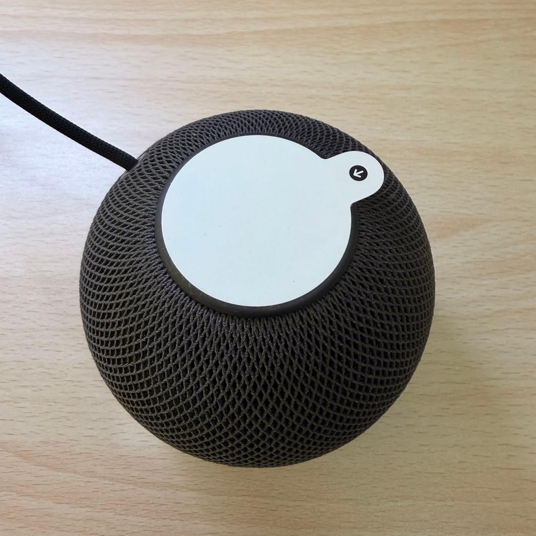 Pod mini MY5G2J/A [スペースグレイ]