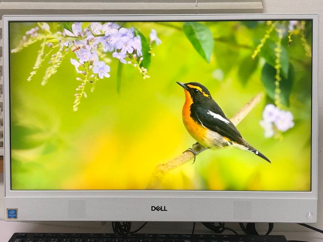 DELL AIO 22-3280 メ8GB SSD256 Office2021