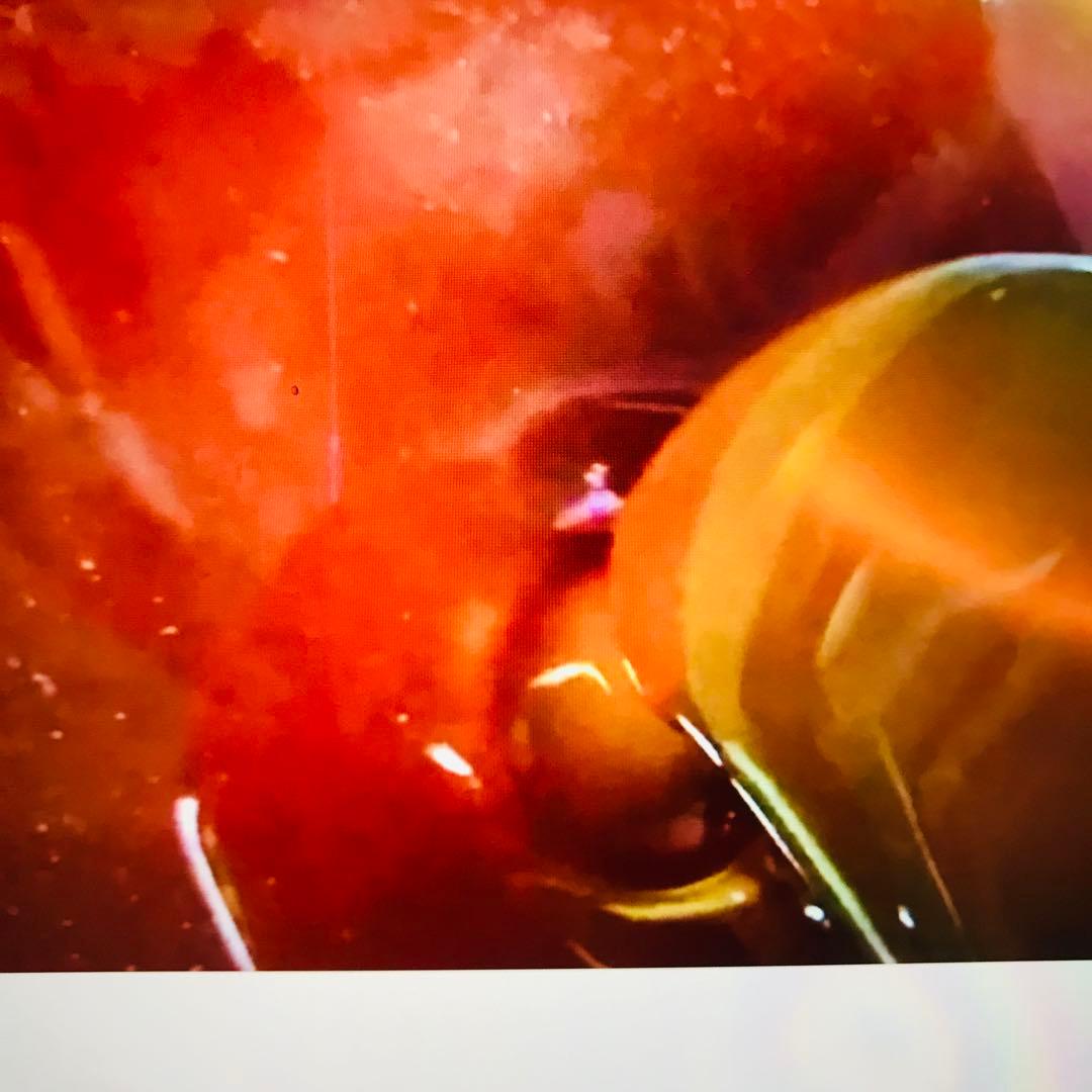 ハチミツ 日本蜜蜂のはちみつ 非加熱無添加 純粋生のハチミツ　１200g