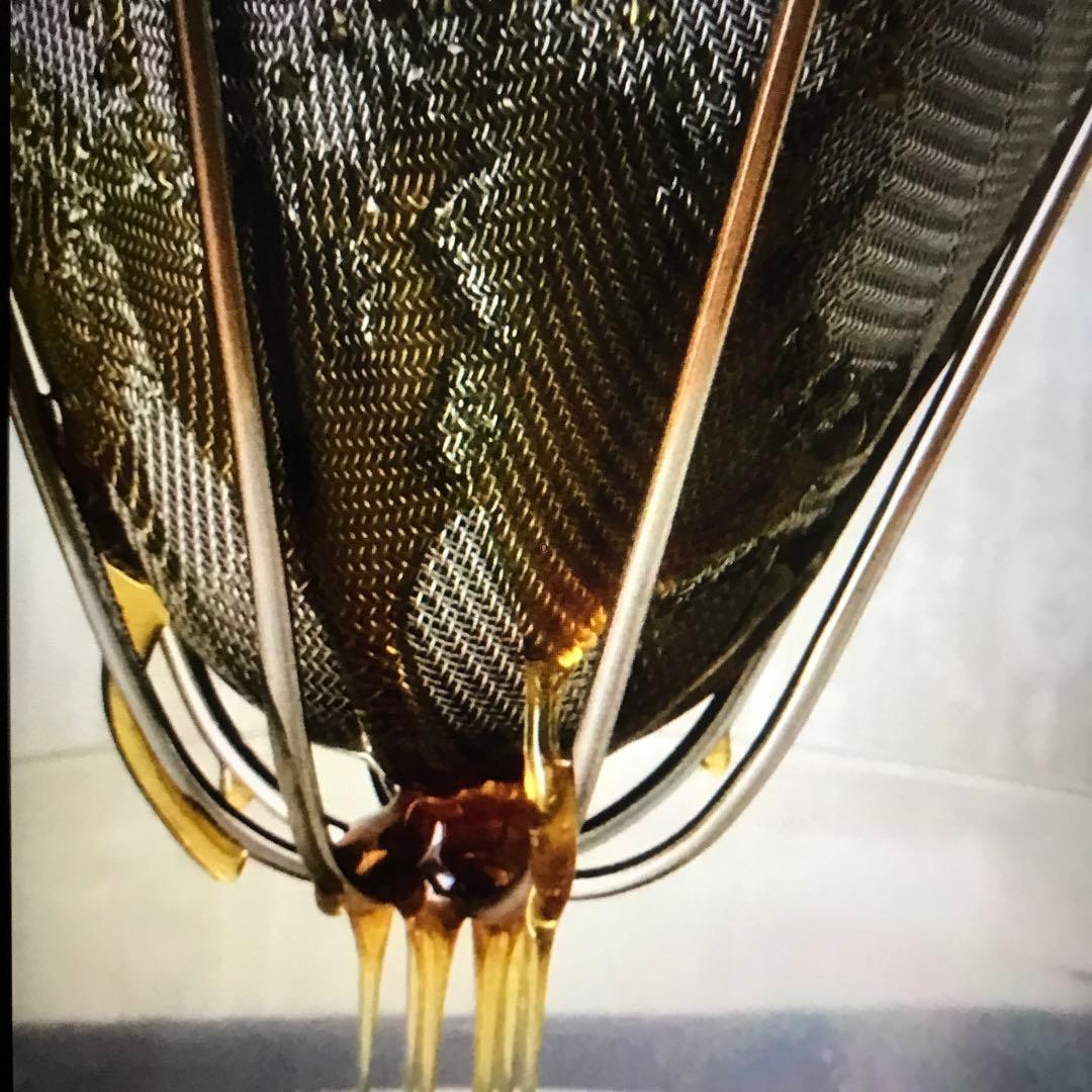 ハチミツ 日本蜜蜂のはちみつ 非加熱無添加 純粋生のハチミツ　１200g