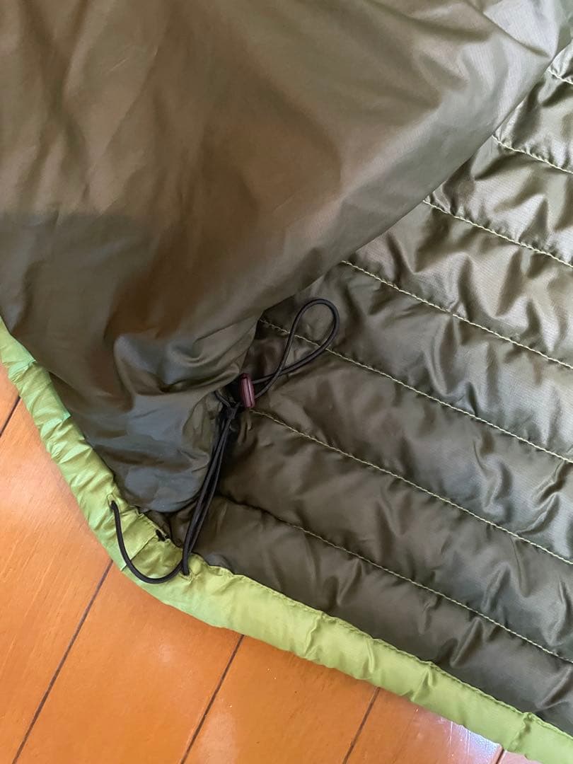 Patagonia ライトグリーン ダウンジャケット