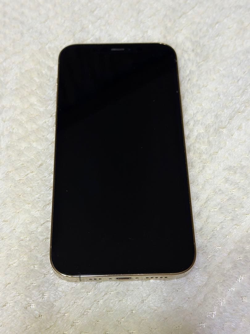 【美品・状態良】iPhone12Pro 256GB [SIMフリー]