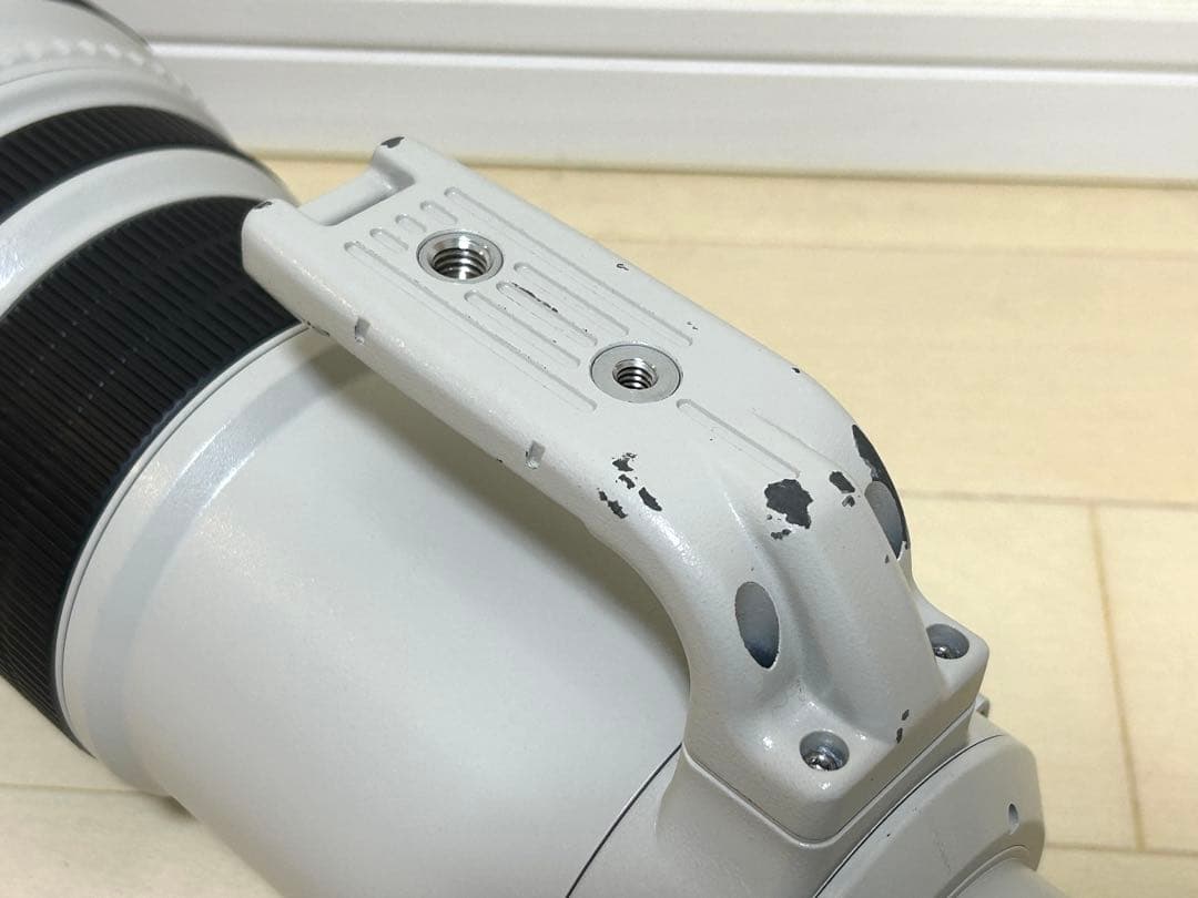 Canon EF500mm F4L IS USM 単焦点超望遠レンズ