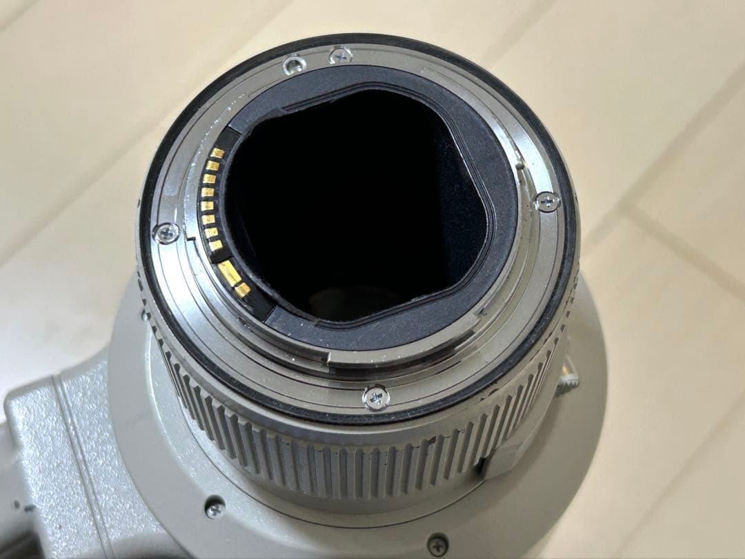 Canon EF500mm F4L IS USM 単焦点超望遠レンズ