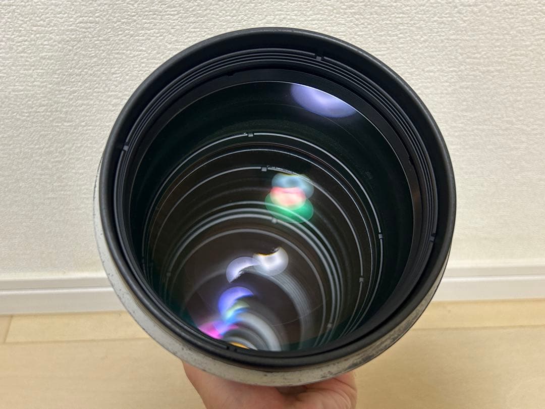 Canon EF500mm F4L IS USM 単焦点超望遠レンズ