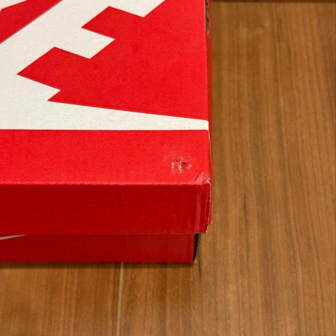 ナイキ PS ダンク ロー \"ミシガン\"(キッズ) 22cm 新品未使用