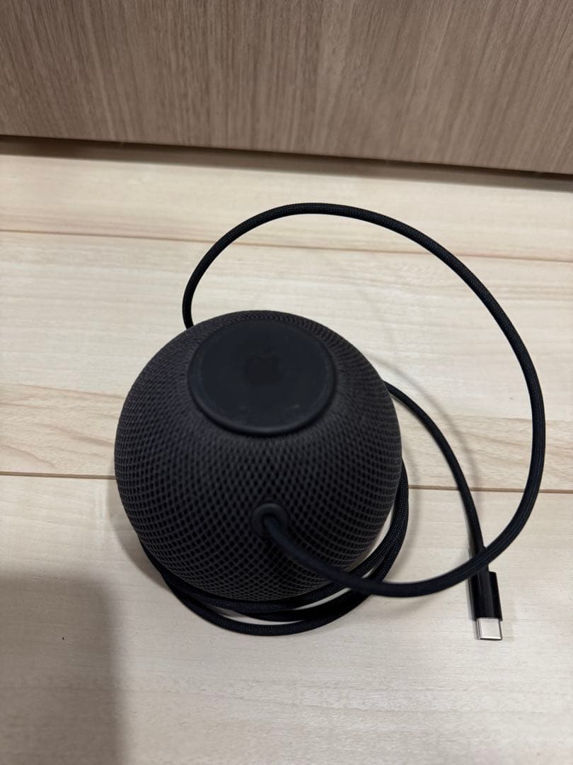 Apple Pod mini スペースグレイ