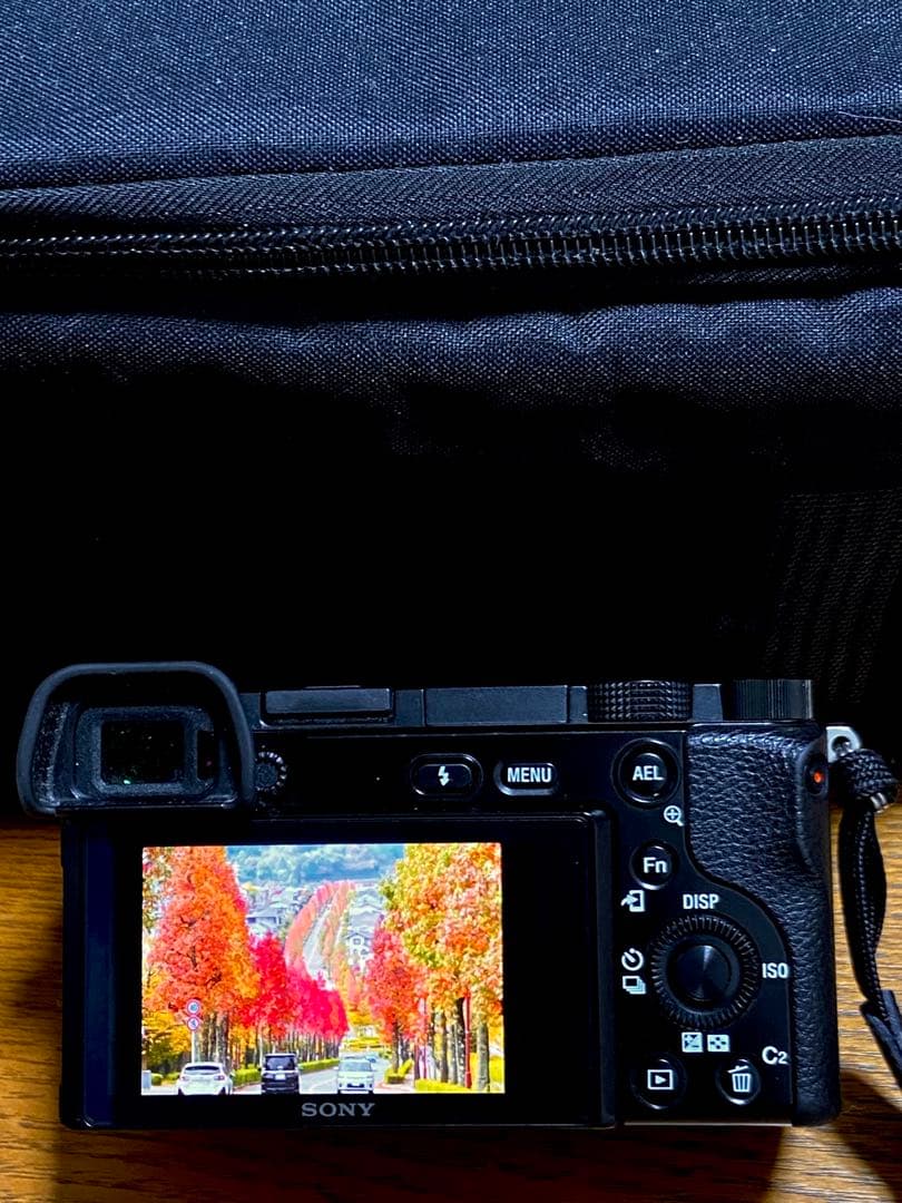 SONY α6100 ソニー　ミラーレス一眼　純正予備バッテリー付