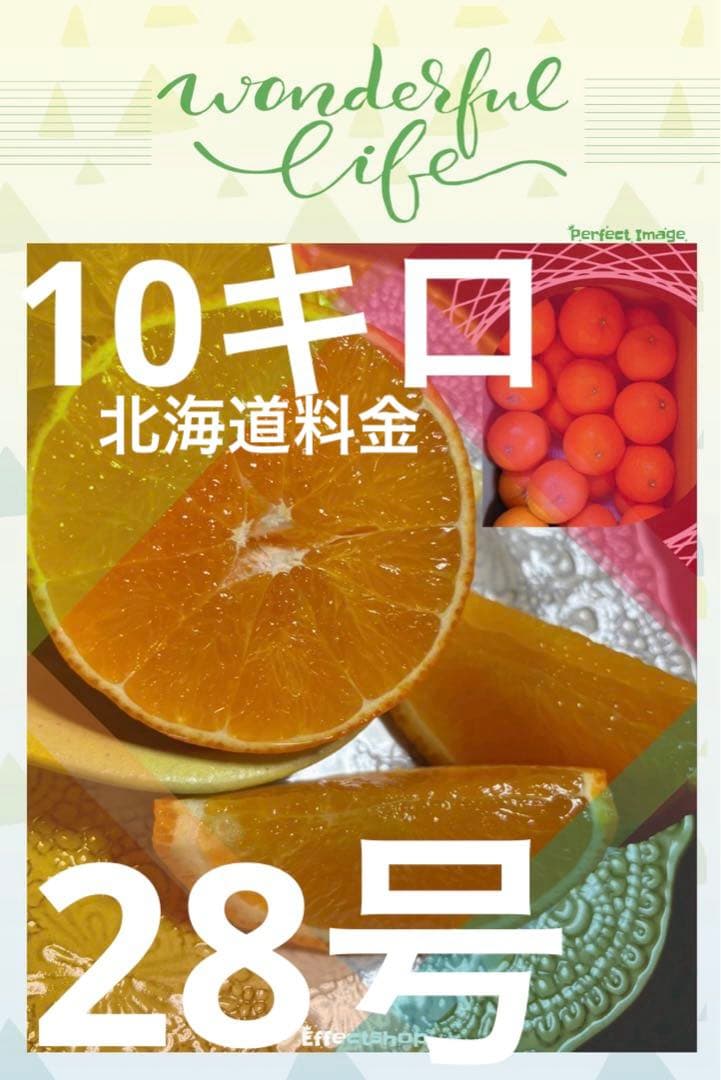 02-10k あいか28号（まどんな）みかん家庭用10キロ 北海道料金