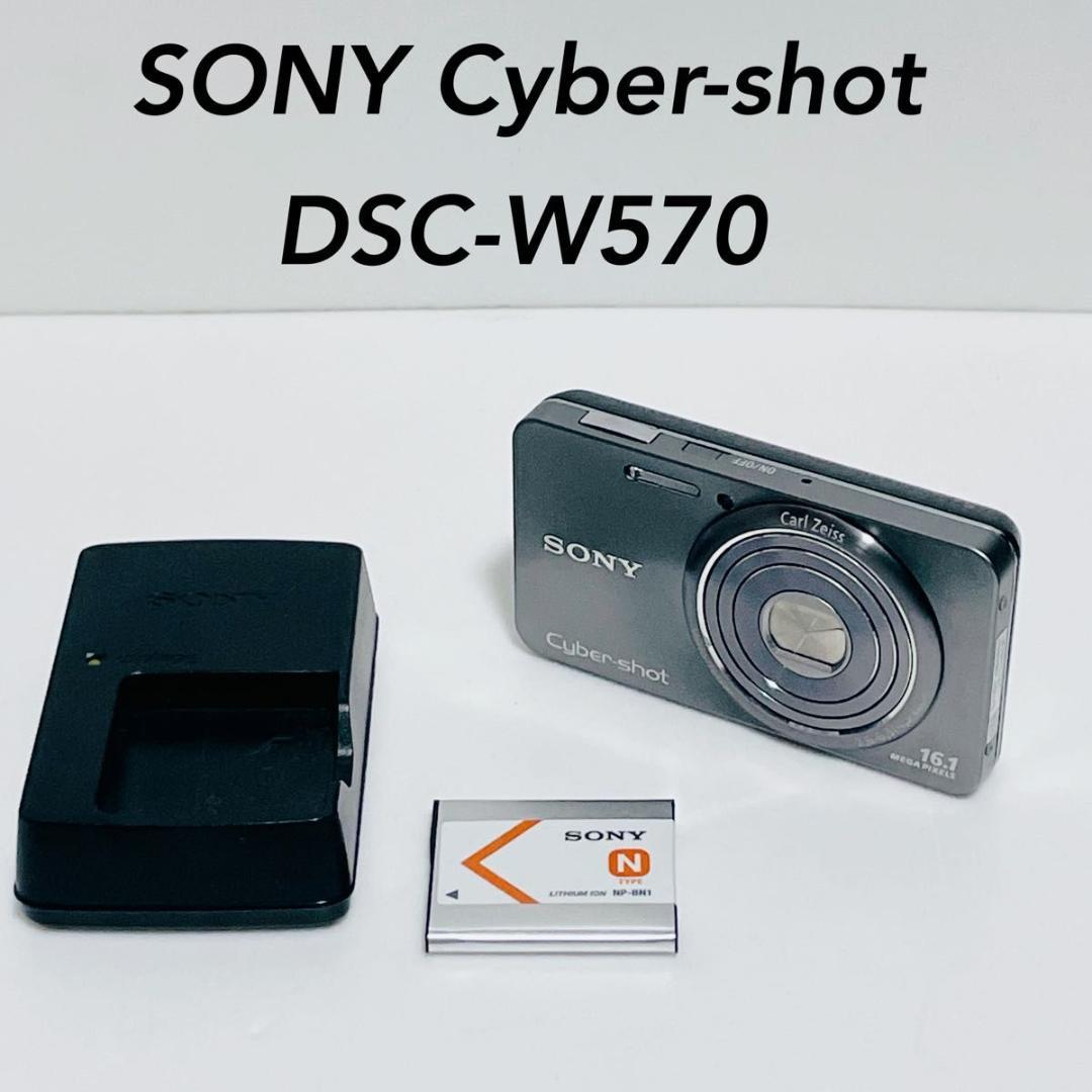 訳あり　ソニー　Cyber-shot DSC-W570 デジタルカメラ