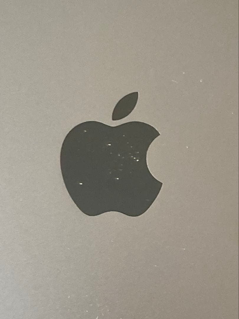 Apple iPad mini (第5世代) 64GB スペースグレー