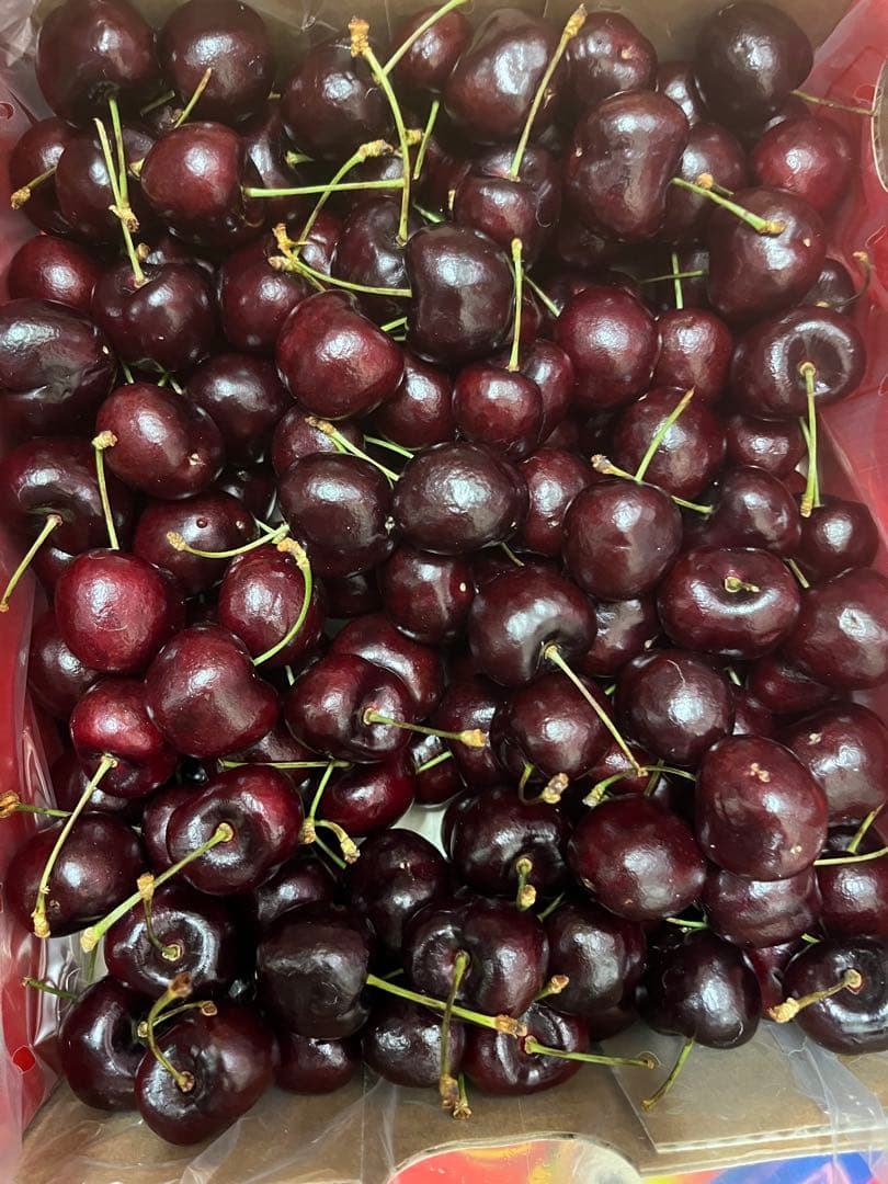 チリー輸入　チェリー 約3kg