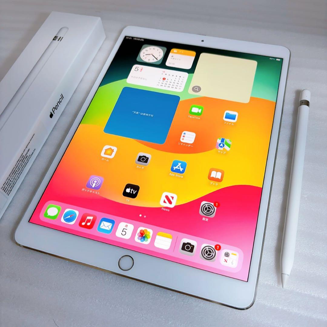 iPadPro2【512GB】SIMフリーとアップルペンシルのセット