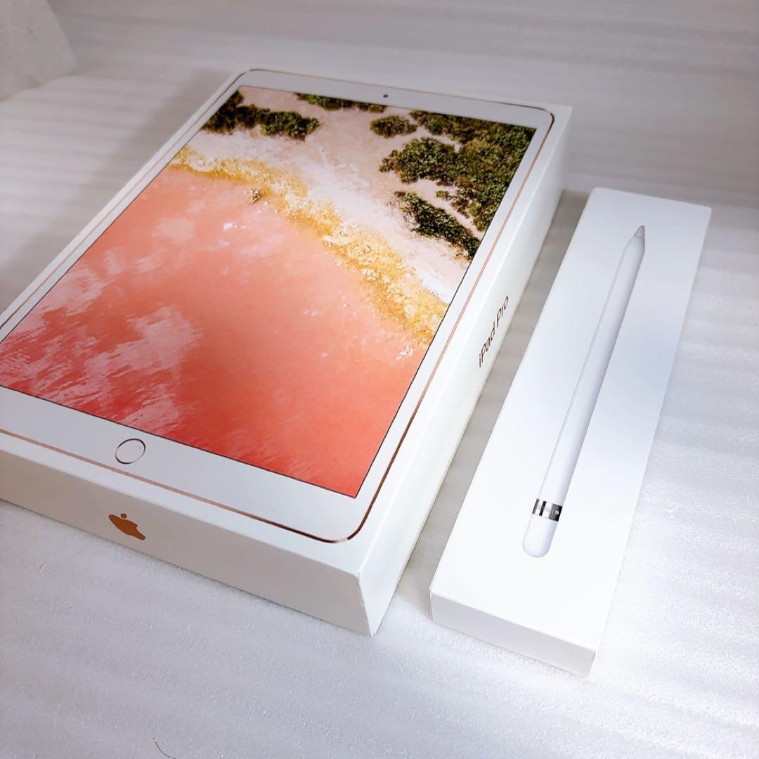 iPadPro2【512GB】SIMフリーとアップルペンシルのセット