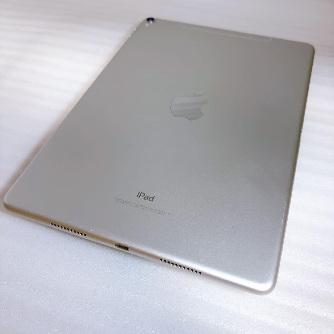 iPadPro2【512GB】SIMフリーとアップルペンシルのセット