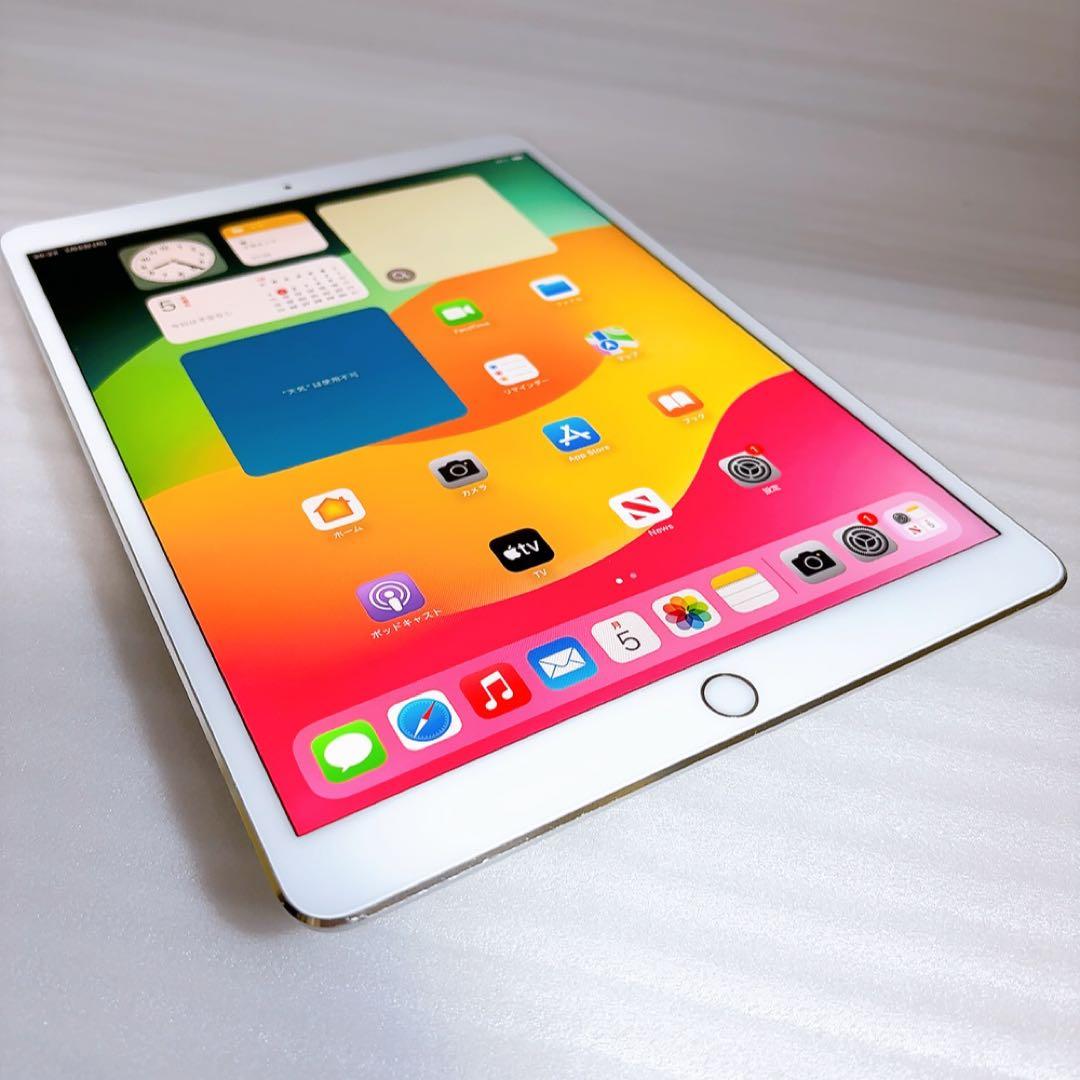 iPadPro2【512GB】SIMフリーとアップルペンシルのセット