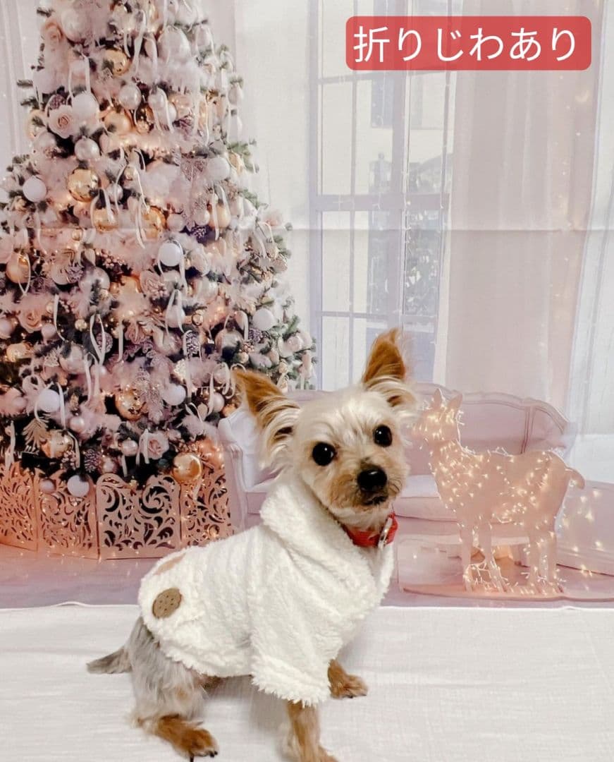 背景布×10枚+2　ペット撮影用フォトブース　トリミングチョーカー販売中