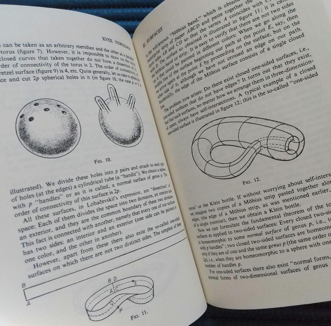 数学 その内容、方法、意味