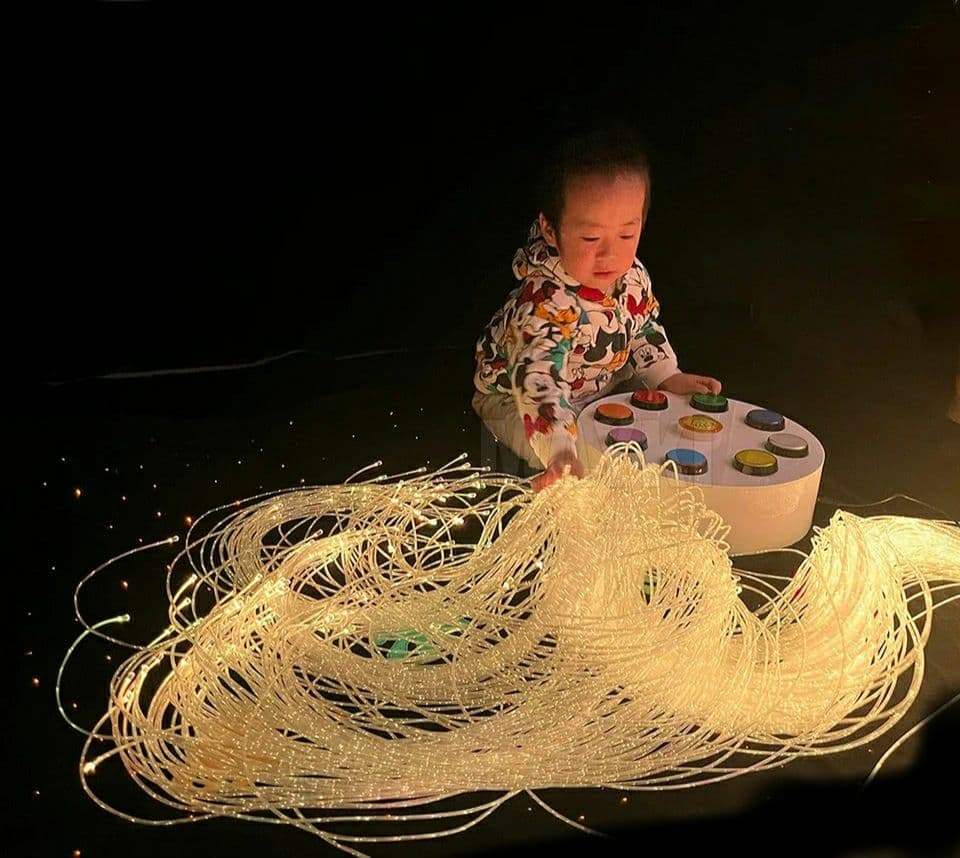 新品　光ファイバー　センサリープレイ　光の知育玩具　200cm ５０本　リモコン