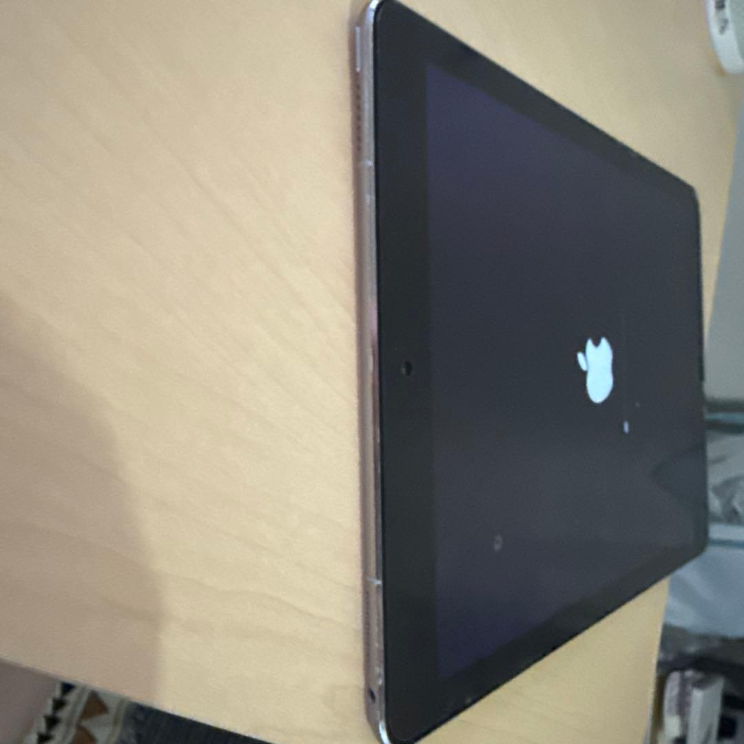 ひ*で様 Apple iPad Pro(9.7インチ) 128GB スペースグレ